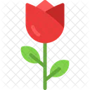 Rose Bloom Petals Icon