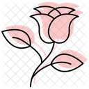Rose Color Shadow Thinline Icon Icon