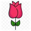 Rose Flower Fragrance Icon