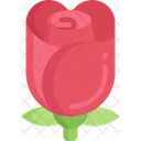 Rose Flower February Icon