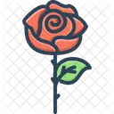 Rose Jour De La Rose Saint Valentin Icône