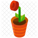 Rose Flower Vase Icon