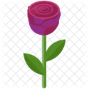 Rose Love Flower Icon