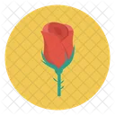 Flower Love Rose Icon