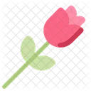 Rose Flower Romance Icon