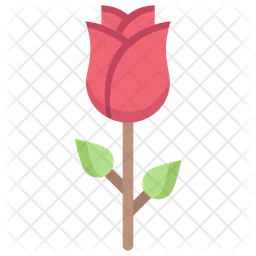 Rose  Icon