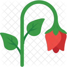 Rose  Icon