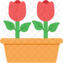 Rose Flower Blossom Icon