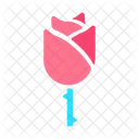 Rose Red Propose Icon