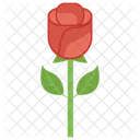 Flower Nature Rose Icon