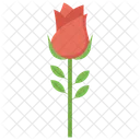Rose Flower Wedding Flower Icon