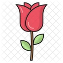 Rose Propose Motherday Icon