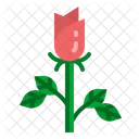 Rose Love Romance Icon