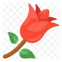 Rose Floweret Floral Icon