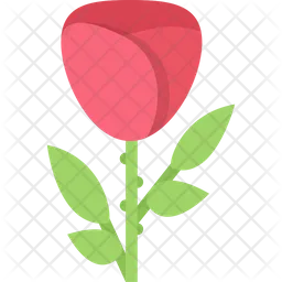 Rose  Icon