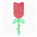 Rose Flower Floral Icon