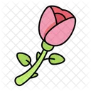 Rose Flower Botanical Icon