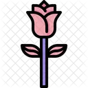 Rose Blossom Plant Icon