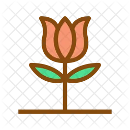 Rose  Symbol