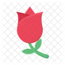 Rose Valentine Wedding Icon