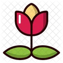 Rose  Icon