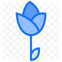 Rose Flower Nature Icon