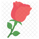 Rose Red Rose Valentines Icon