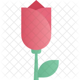 Rose  Symbol