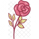 Flower Rose Wedding Icon