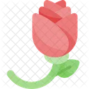 Rose Flower Romantic Icon