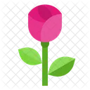 Rose  Icon