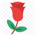 Rose Love Romantic Icon