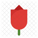 Rose Spring Flower Icon