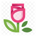 Nature Flower Rose Icon