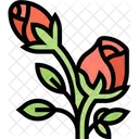 Rose Rose Flower Flower Icon