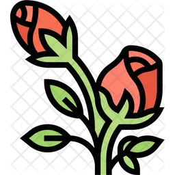 Rose  Icon