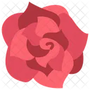 Rose Rose Flowers Blossom Icon