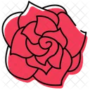 Rose Rose Flower Flower Icon
