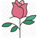 Rose  Icon