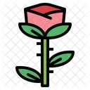 Rose  Icon