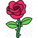 Rose  Icon