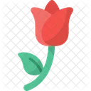 Rose Romantic Flower Icon