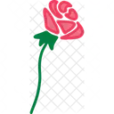 Rose Roses Flower Icon