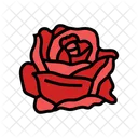 Rose Flower Spring Icon