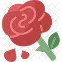 Rose Flower Fragrance Icon