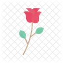 Rose Flowers Bouquet Icon
