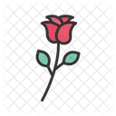 Rose Flowers Bouquet Icon