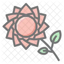 Rose  Icon