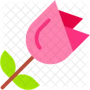 Rose Botanical Blossom Icon