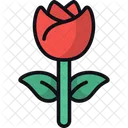 Rose Bloom Petals Icon